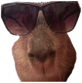 😎