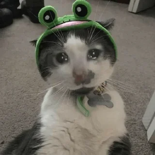 🥺