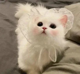 🥺