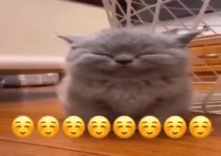 ☺️
