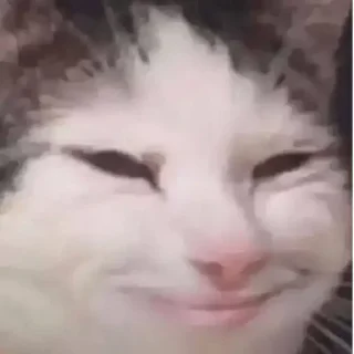 🌸