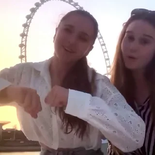🎡