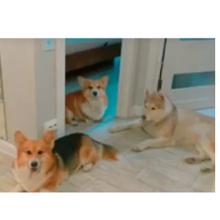👍