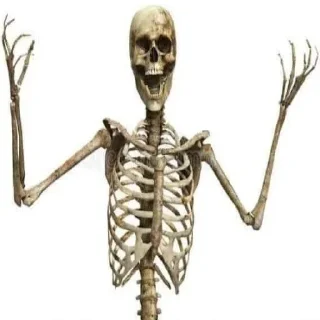 💀