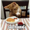 🍳