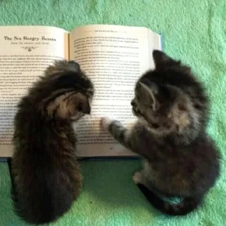 📖
