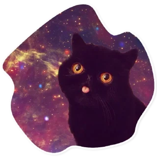 🌑
