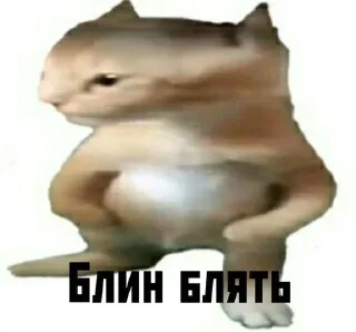 🎲