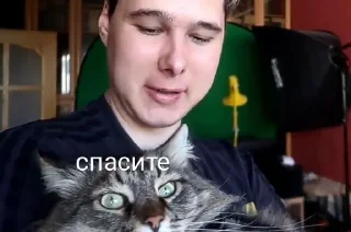 😶