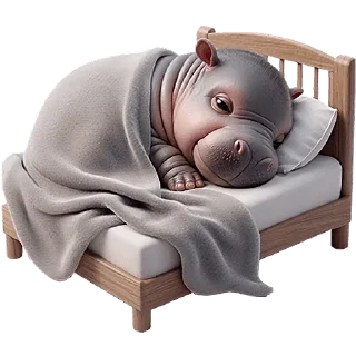 😴