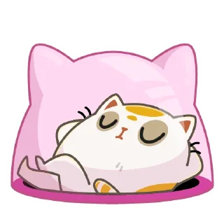 😴
