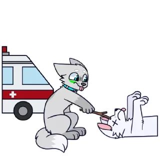 🚑