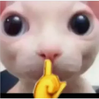 🤫