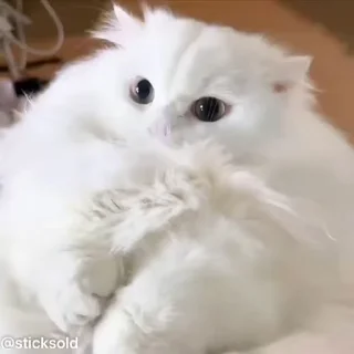 🥺