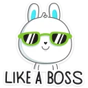😎