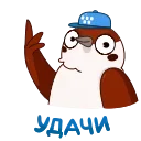 👌