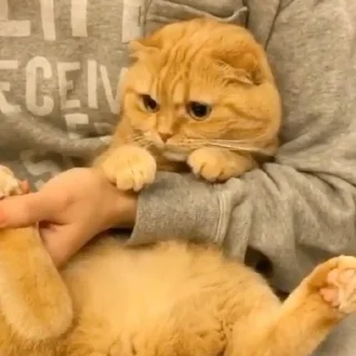😐