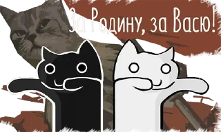 😾