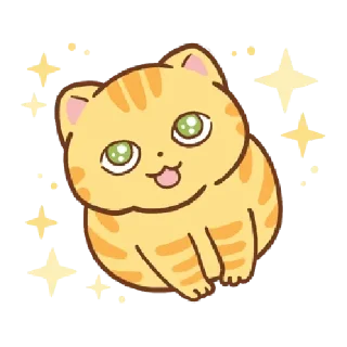 🐱