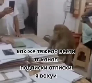 🌟
