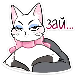 🐱