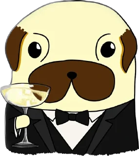 🍾