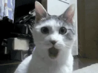 😦
