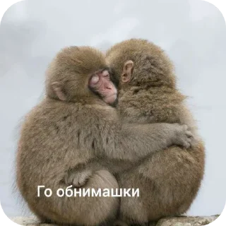 🙂