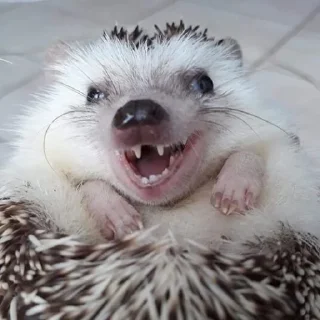 😝