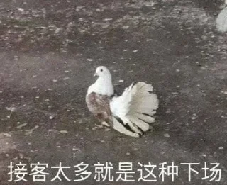 🐔