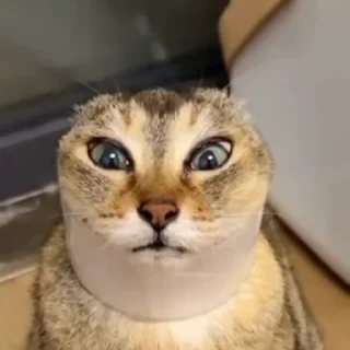 😵