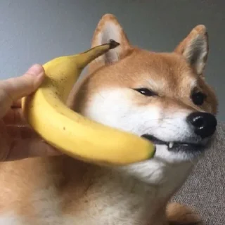 🤨