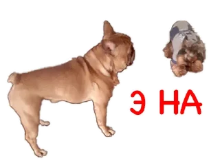 👊