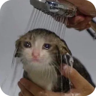 😭