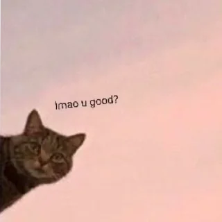 😳