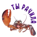 🦀 Раки @lennysticker