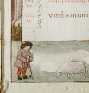 🐑