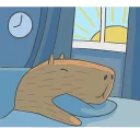 😴