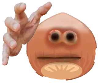 ✋