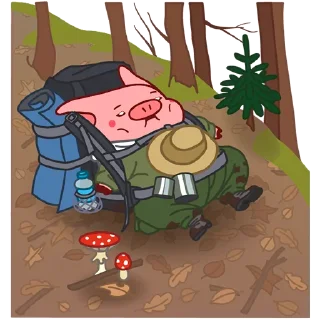 🏕