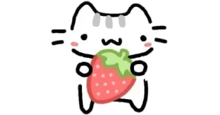 🍓