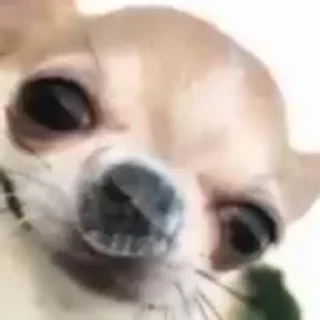 👃