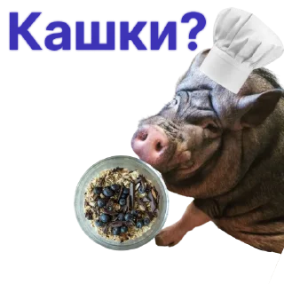 🍚