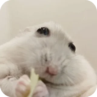 😏
