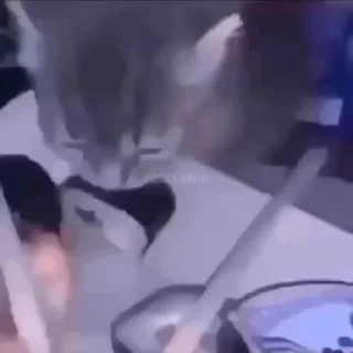 🍱