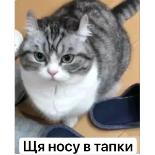 🫥