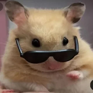 🐹