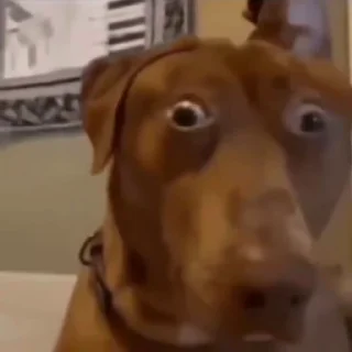 😳