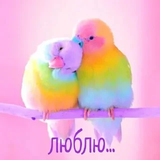 💗