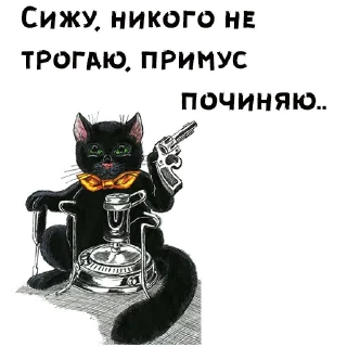 🐱